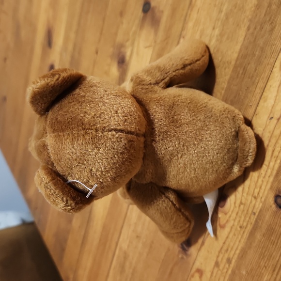 Nigara Falls 🇨🇦 Canada 6" Soft & Plush Brown Teddy 🧸 Bear Like New! - Picture 3 of 5